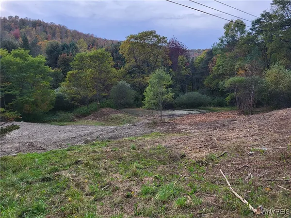$22,900 | Lot A Porter Hollow Road, Great Valley, NY 14741