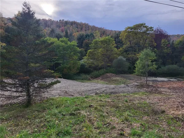 $22,900 | Lot A Porter Hollow Road, Great Valley, NY 14741