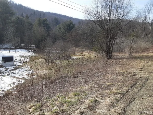 $22,900 | Lot A Porter Hollow Road, Great Valley, NY 14741