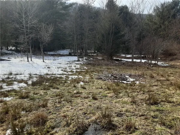 $22,900 | Lot A Porter Hollow Road, Great Valley, NY 14741