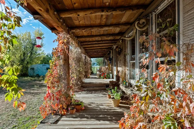 a view of path along with trees