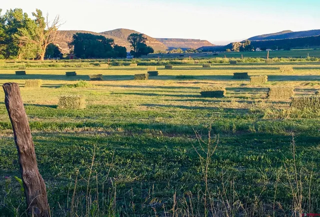 a view of a swimming pool with an outdoor space and seating area