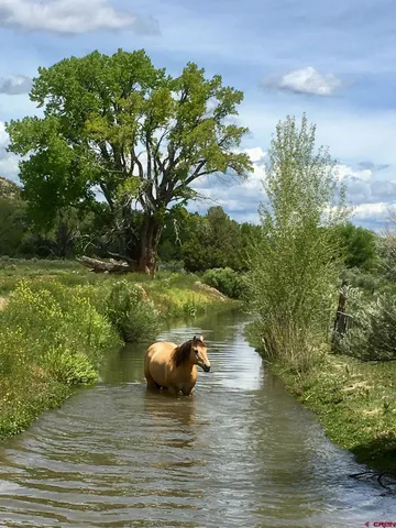 a lake view with a lake view