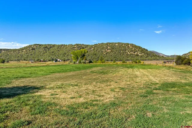 a view of a field with an ocean view