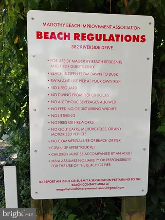 a view of a yard with plants