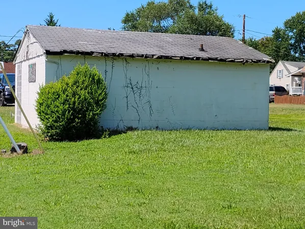 a view of a backyard with plants