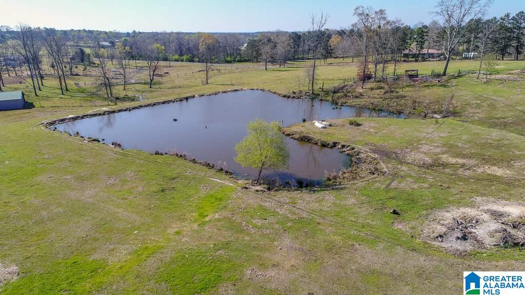 348 County Road 370, Unit 1 Clanton, AL 35045 - Photo 10 of 10