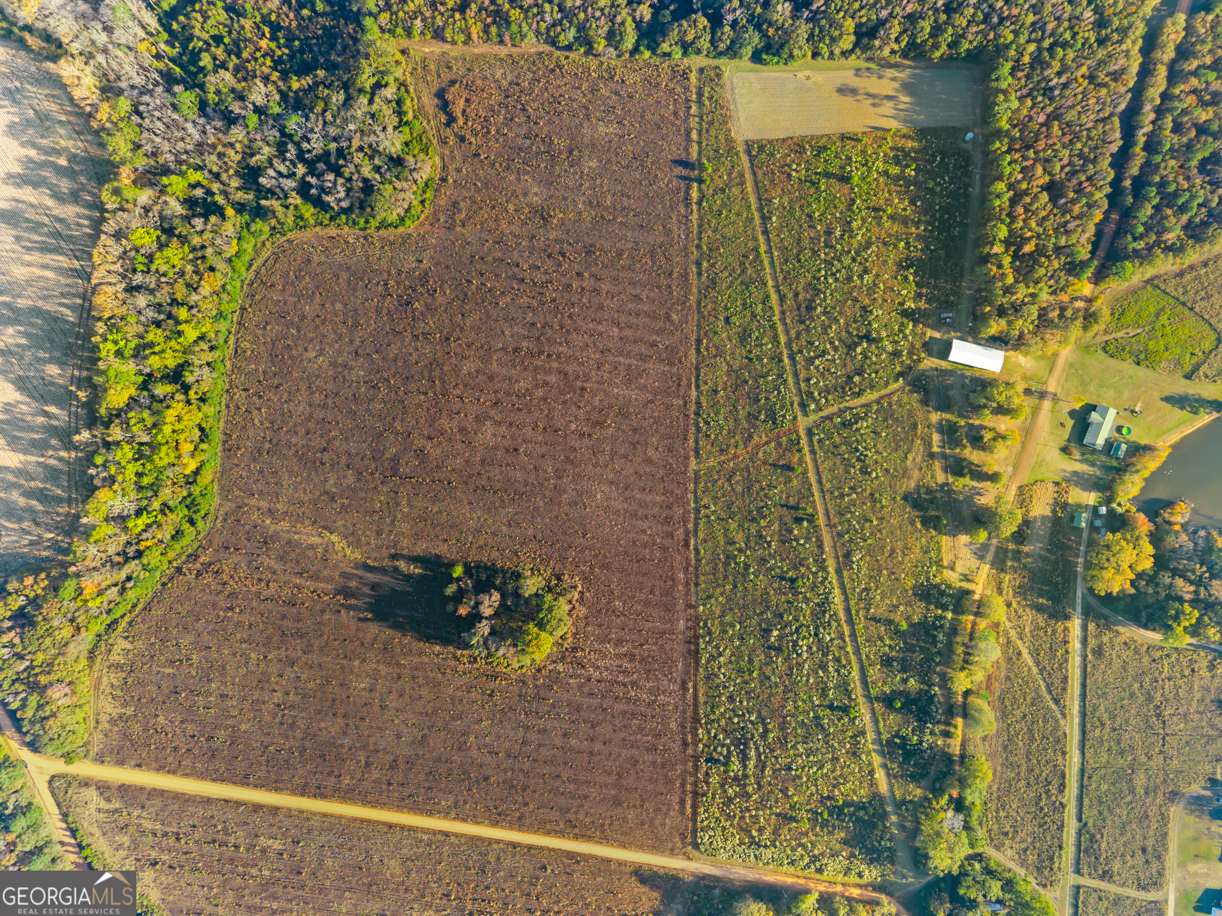 0 Waters Lane, Unit LOT 4 Claxton, GA 30417 - Photo 12 of 14 a picture of a door of the house