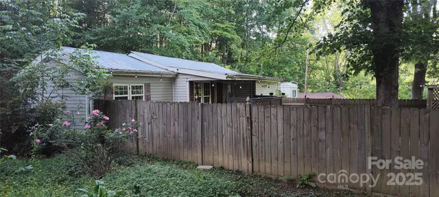 a view of a backyard with plants and large trees