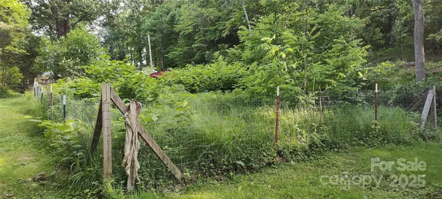 a backyard of a tree
