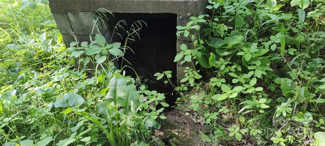a view of outdoor space with trees