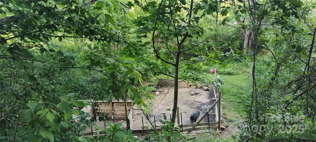 a view of a forest that has large trees