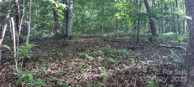 a picture of flowers