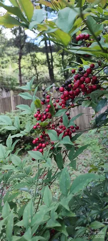 $149,900 | 7881 Highway 25, Marshall, NC 28753