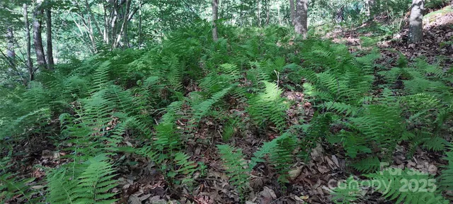 $149,900 | 7881 Highway 25, Marshall, NC 28753