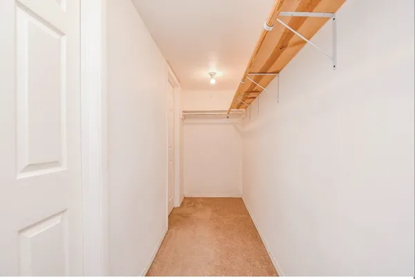 $1,595 | 7233 Beechnut Street, Unit A, Houston, TX 77074