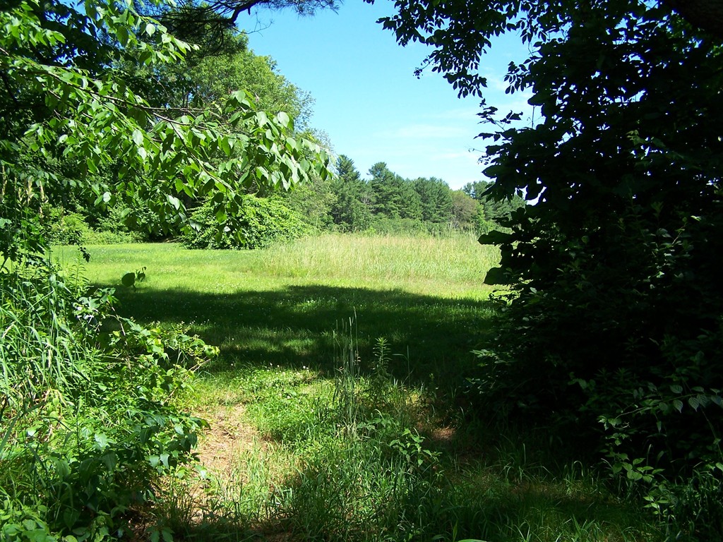 0 Dennis Whitney Road Oakham, MA 01068 - Photo 1 of 8 Gallery Image 1