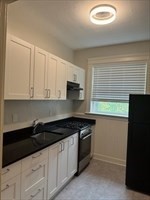 235 Rawson Road, Unit 5 Brookline, MA 02445 - Photo 5 of 28