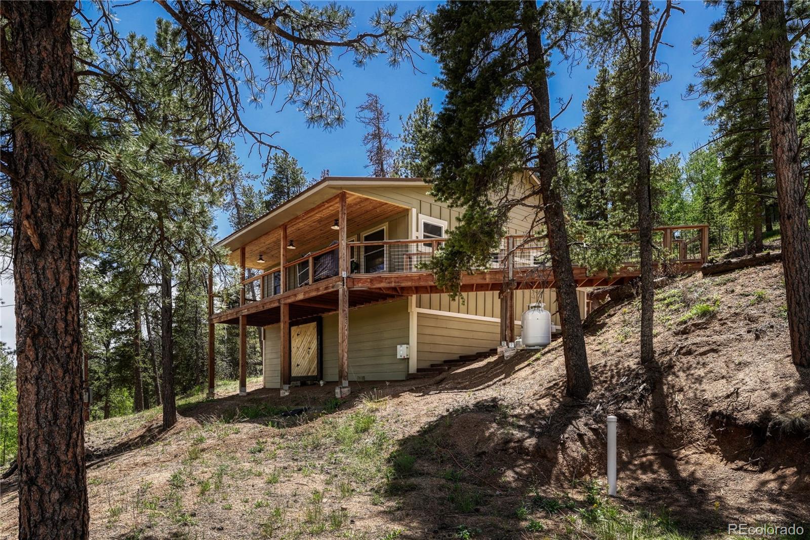 133 Brown Road Bailey, CO 80421 - Photo 31 of 35