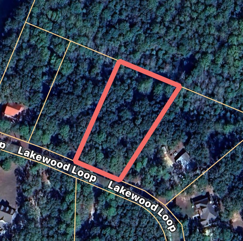 223 Lakewood Loop Geneva, AL 36340 - Photo 44 of 44