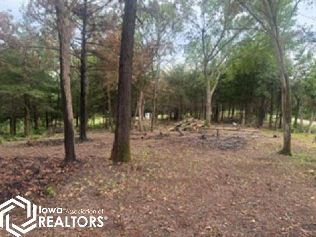 10380 Old Agency Road Agency, IA 52530 - Photo 2 of 15 Gallery Image 2