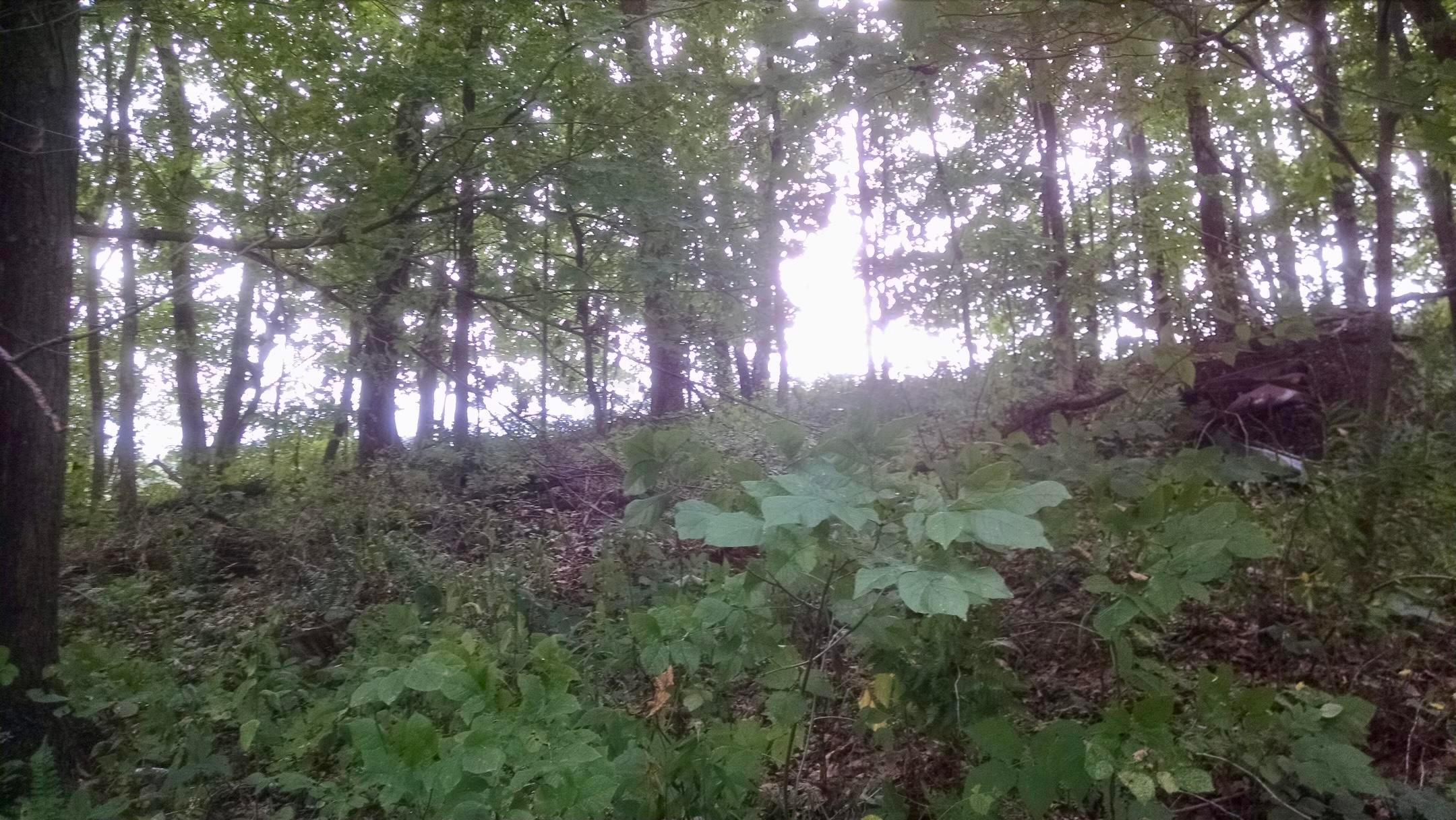 0 Byers Road Perrysville, OH 44864 - Photo 1 of 9