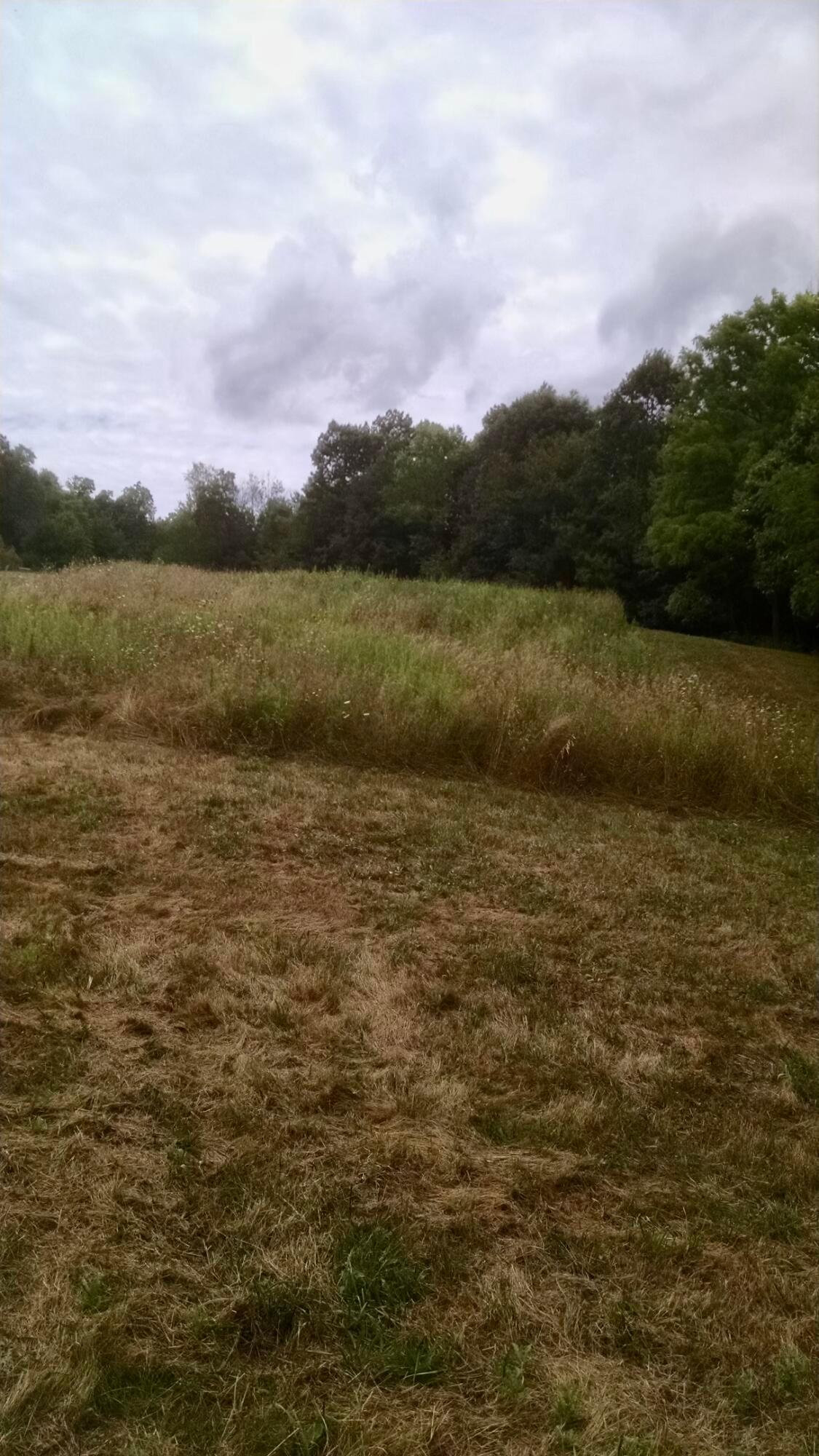 0 Byers Road Perrysville, OH 44864 - Photo 6 of 9