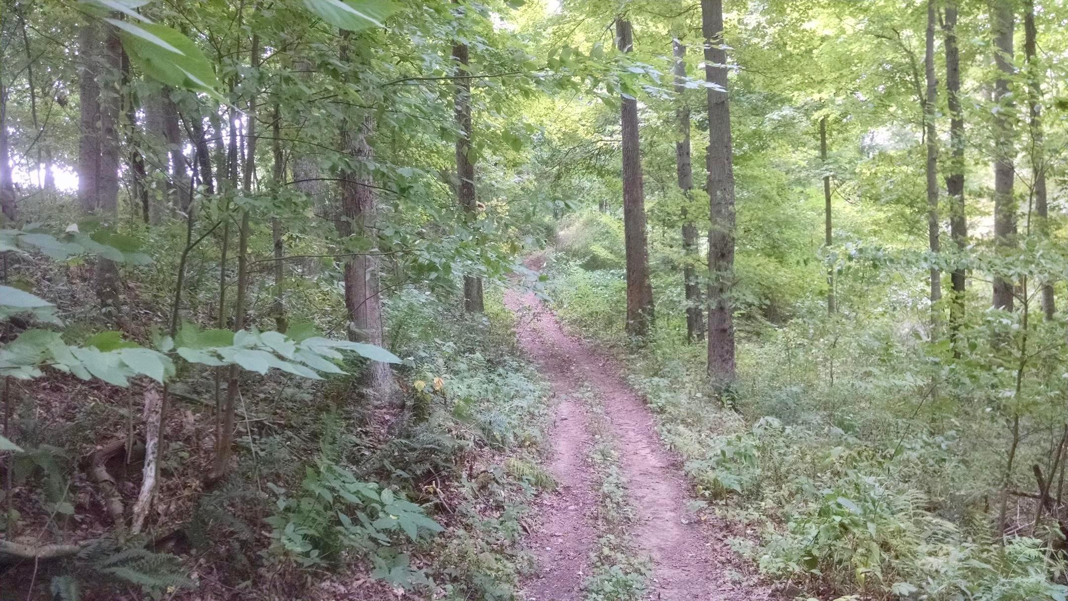 0 Byers Road Perrysville, OH 44864 - Photo 7 of 9