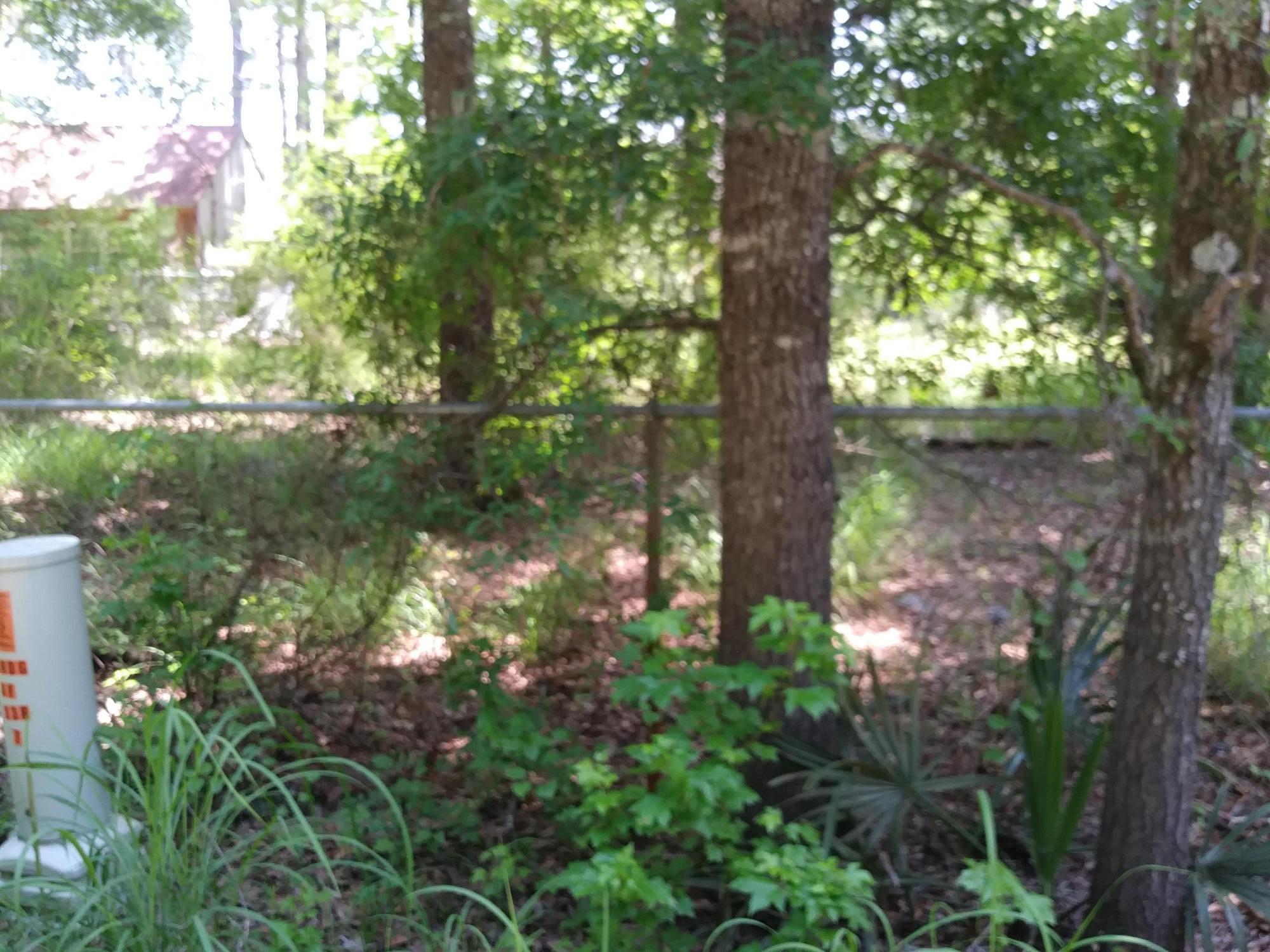 533 Happiness Lane Ridgeville, SC 29472 - Photo 4 of 5 20180606_140636