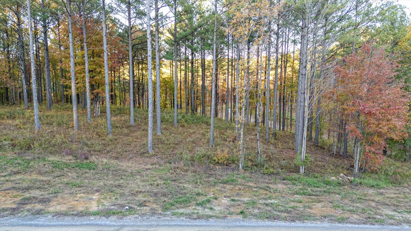 0 Split Rail Way, Unit LOT 1127 Guild, TN 37340 - Photo 3 of 25 02-1127 Split Rail Way-2