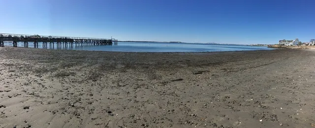 a view of swimming pool from a yard