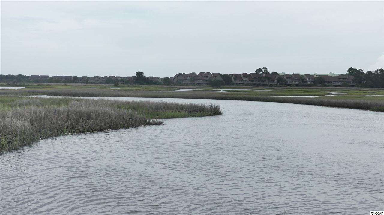 181 Sea Level Loop Pawleys Island, SC 29585 - Photo 4 of 22 Gallery Image 4