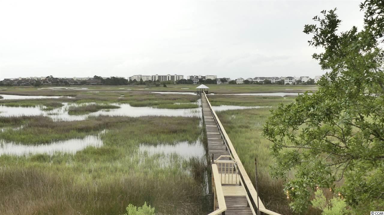 181 Sea Level Loop Pawleys Island, SC 29585 - Photo 6 of 22 Gallery Image 6