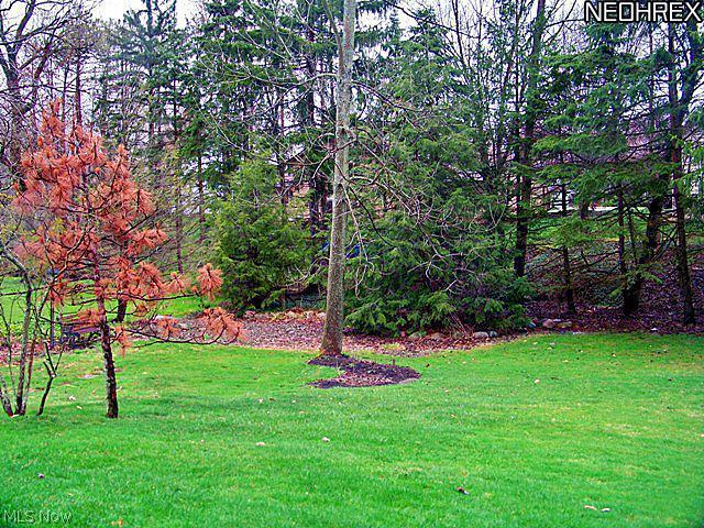 5905 Liberty Road Solon, OH 44139 - Photo 15 of 16 REAR YARD