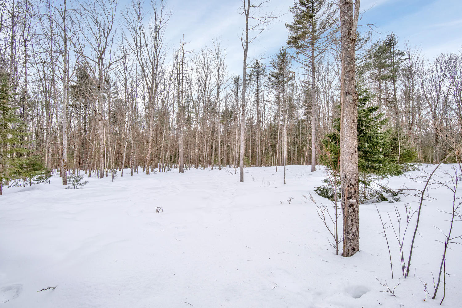 208 White Road Bowdoinham, ME 04008 - Photo 35 of 36 208 White Rd Bowdoinham ME-large-039-43-