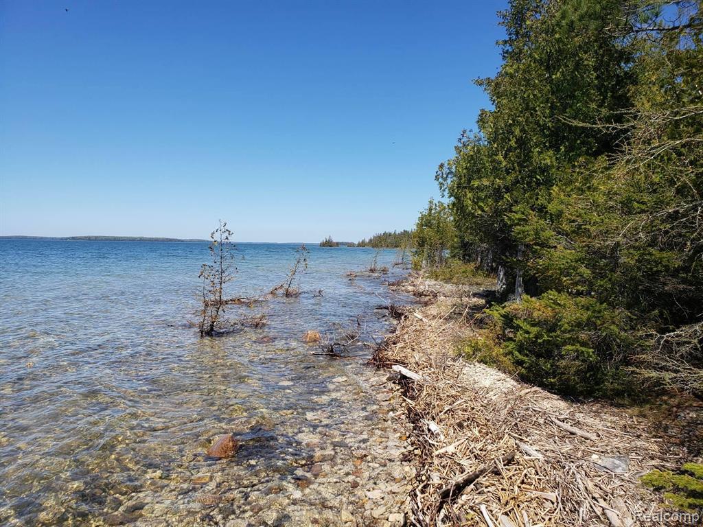 33882 South Dix Point Road Drummond Island, MI 49726 - Photo 9 of 19