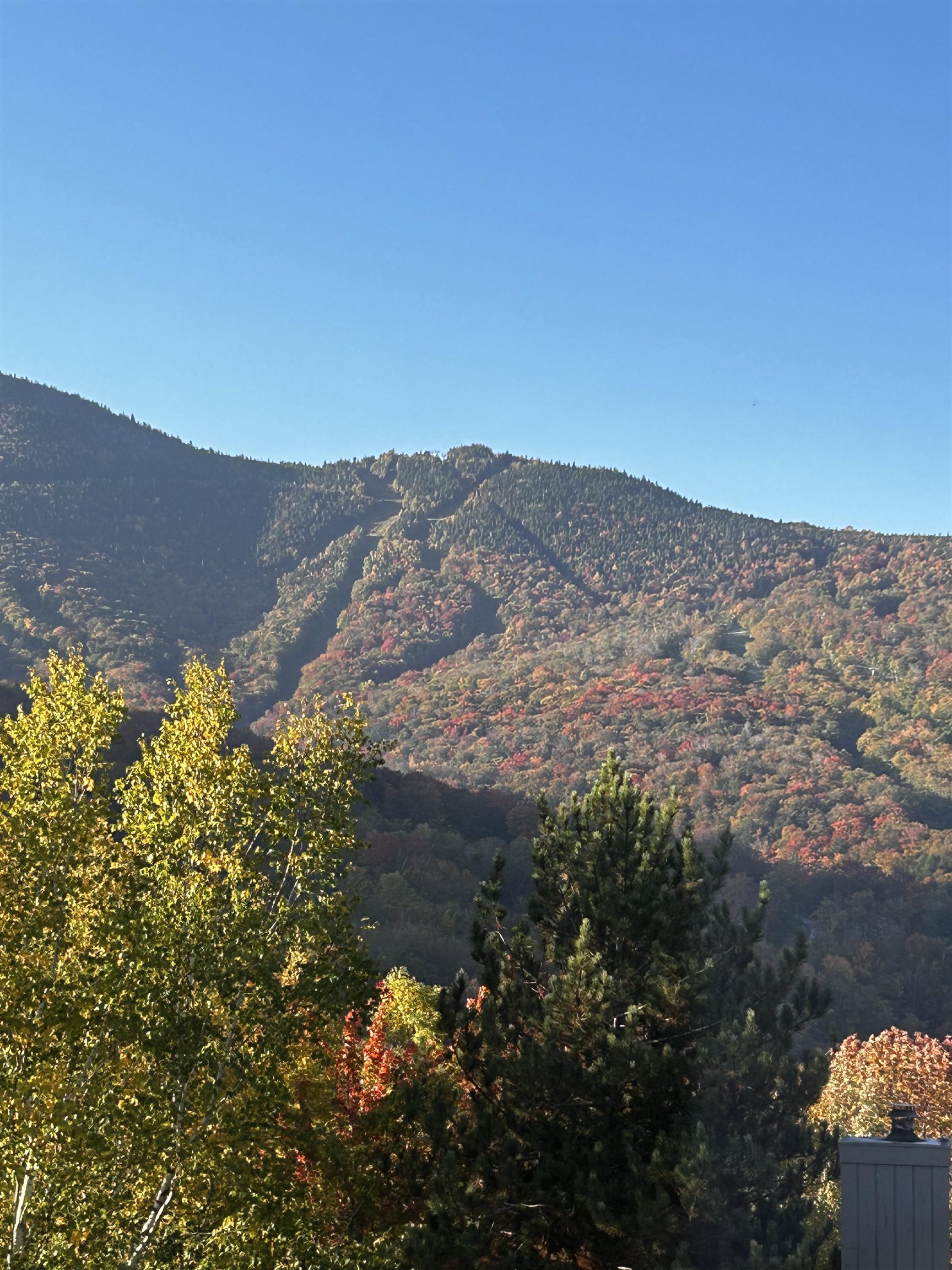 27 Ravine Lane, Unit 1 Lincoln, NH 03251 - Photo 44 of 47