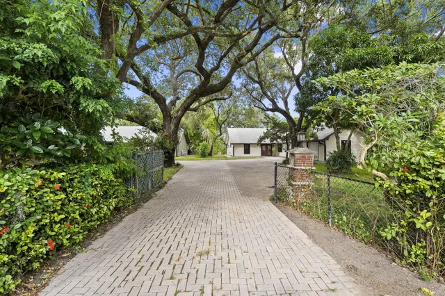 a close up of a plant in a garden
