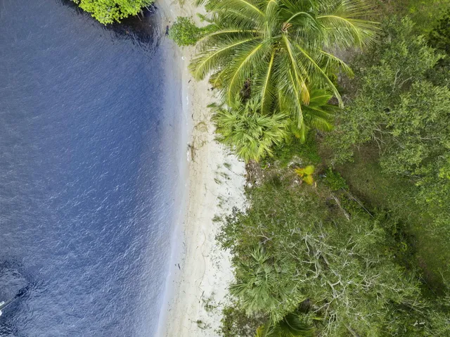 a living room with furniture and a dining table with kitchen view