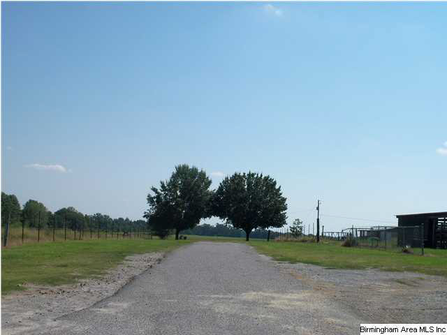 320 Baggett Road Thorsby, AL 35171 - Photo 23 of 26