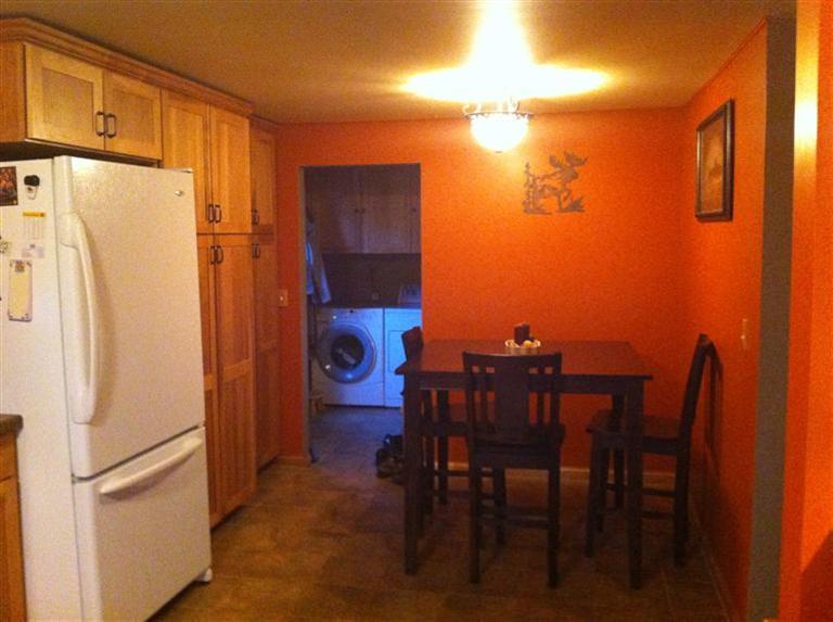 4574 Deaner Road Northeast Edmore, MI 48829 - Photo 10 of 10 Additional Photo