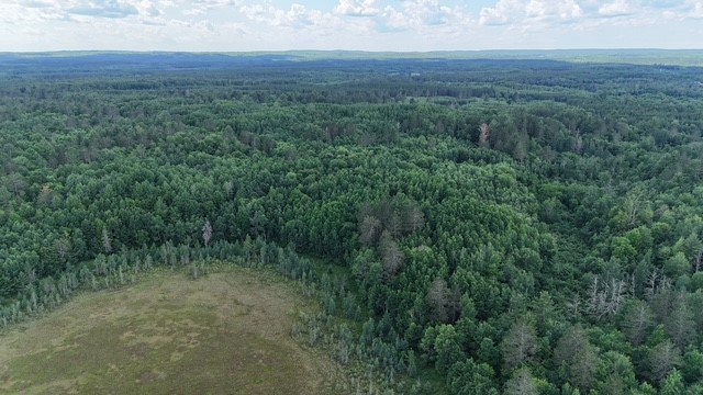 0 Highway 63 Springbrook Wi 54875 Springbrook, WI 54875 - Photo 13 of 19