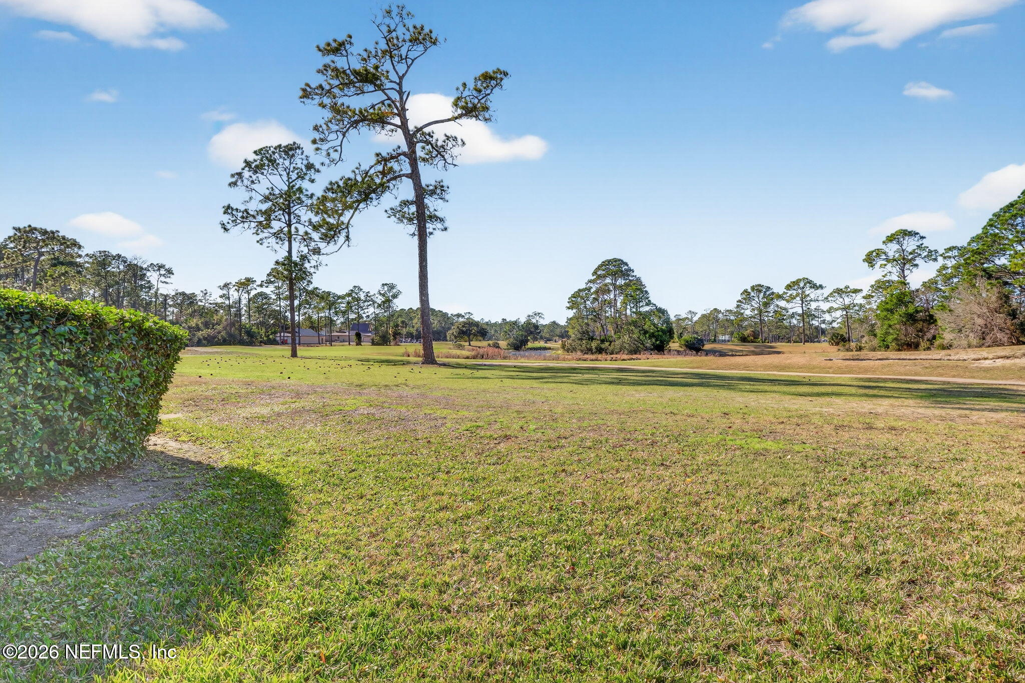 1610 Prestwick Place St. Augustine, FL 32086 - Photo 39 of 41 41-Backyard