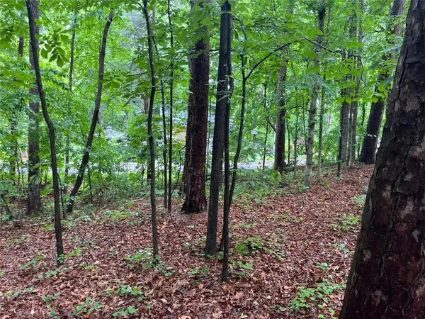 a view of outdoor space and green space