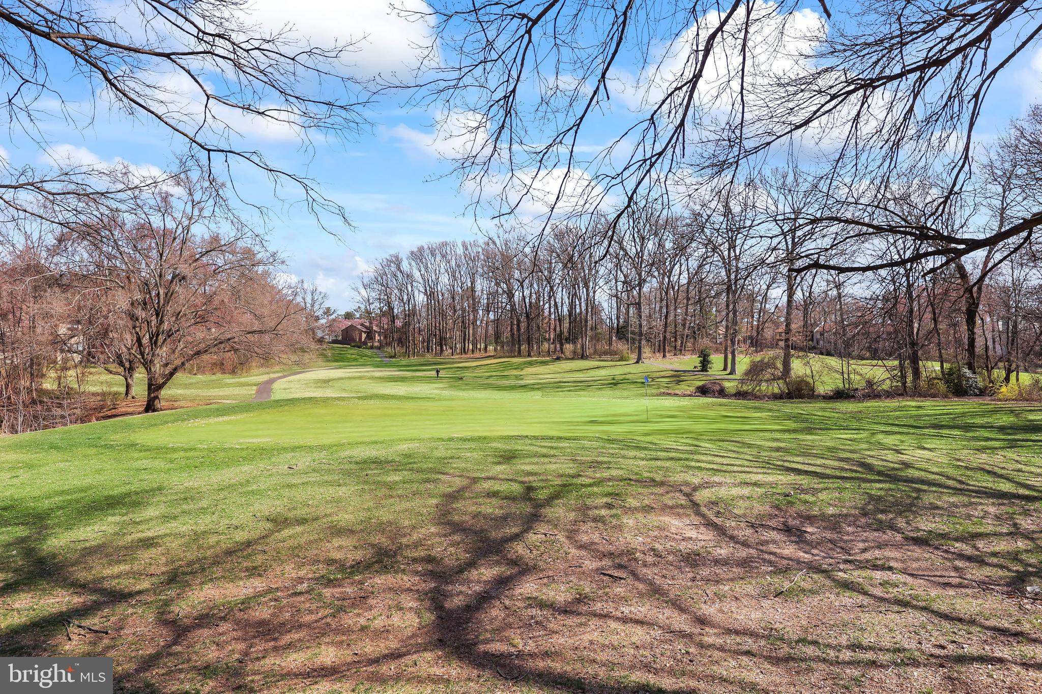 11753 Indian Ridge Road Reston, VA 20191 - Photo 54 of 56 a view of a park