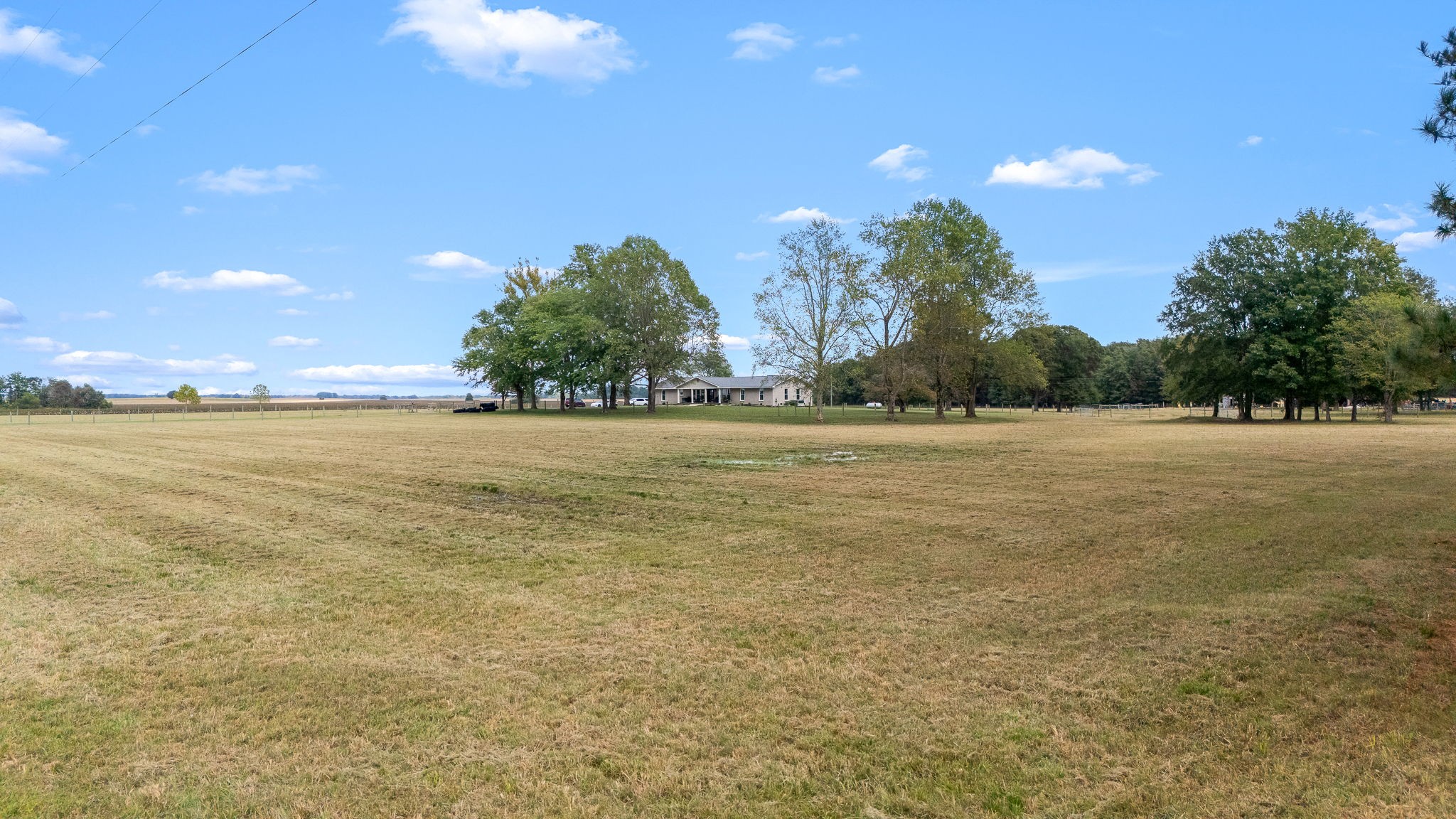 176 Terry Dunavan Road Elora, TN 37328 - Photo 15 of 85