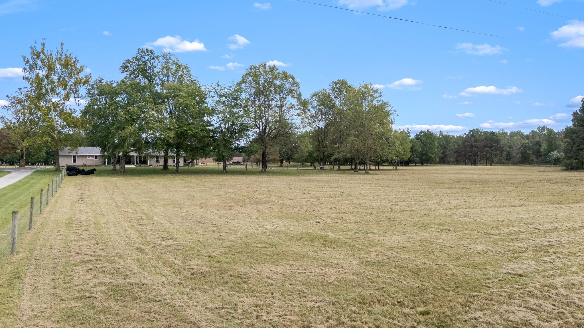 176 Terry Dunavan Road Elora, TN 37328 - Photo 15 of 85