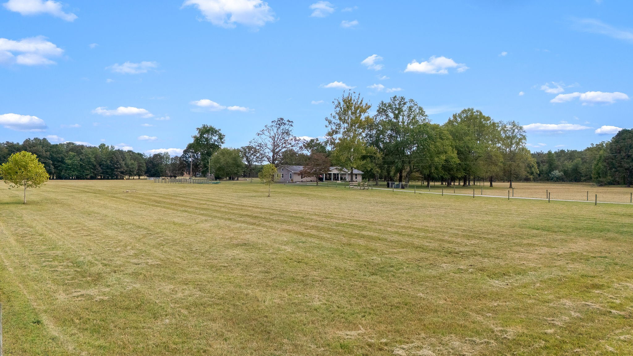 176 Terry Dunavan Road Elora, TN 37328 - Photo 17 of 85