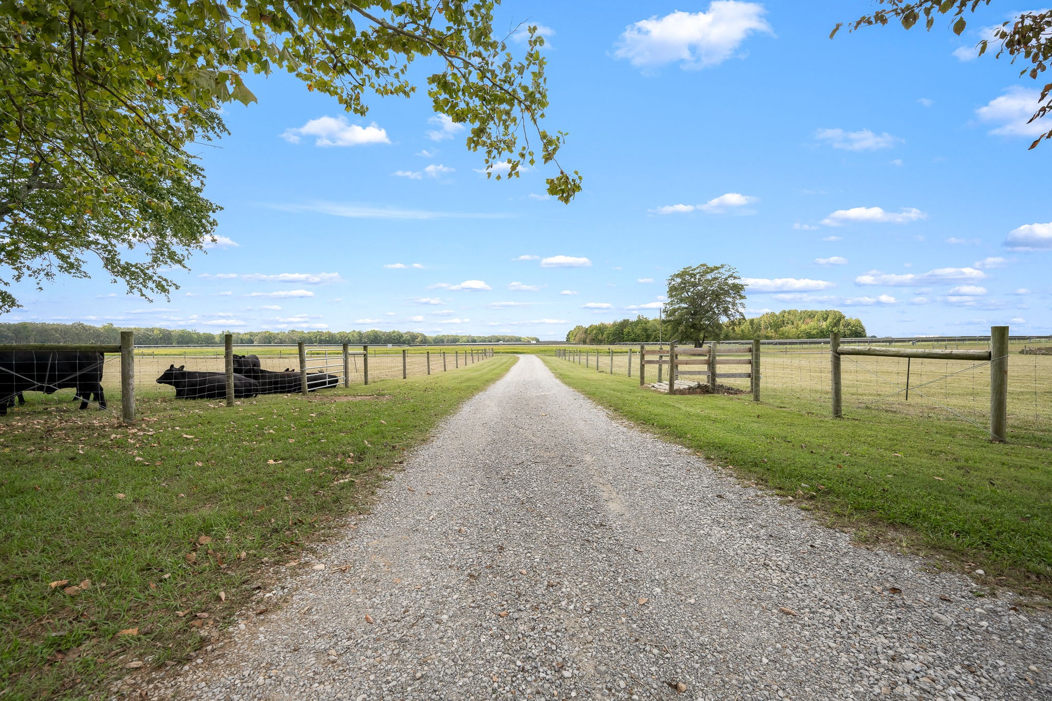 176 Terry Dunavan Road Elora, TN 37328 - Photo 17 of 85