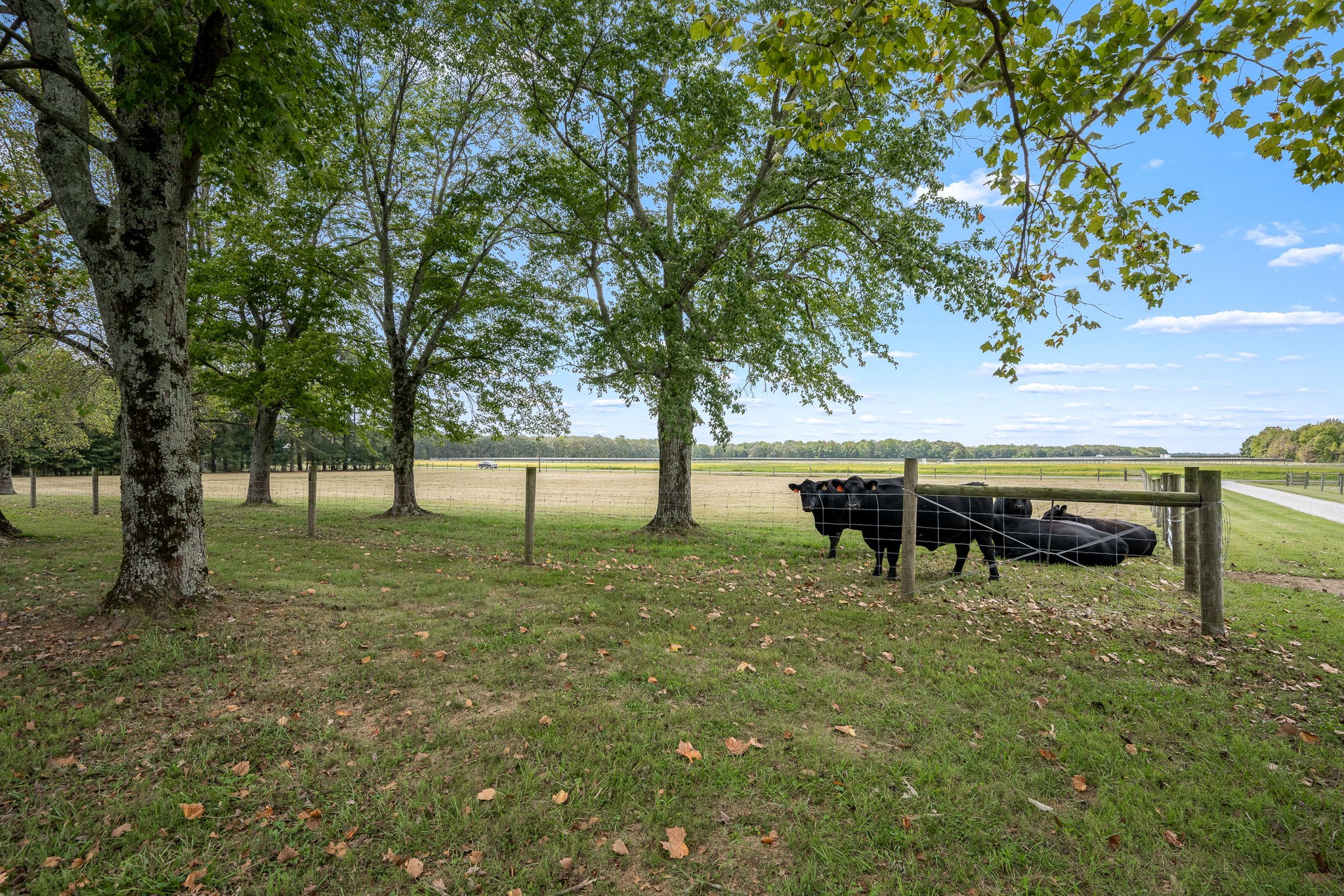 176 Terry Dunavan Road Elora, TN 37328 - Photo 18 of 85